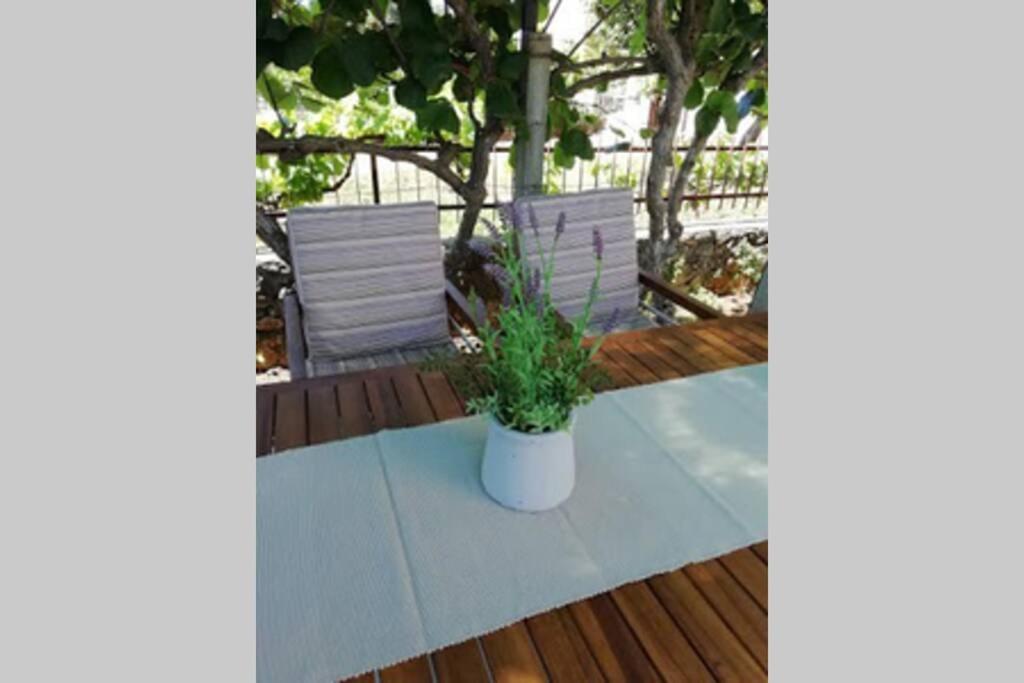 Near Beach - Apartments Marica - Studio Rovinj Buitenkant foto